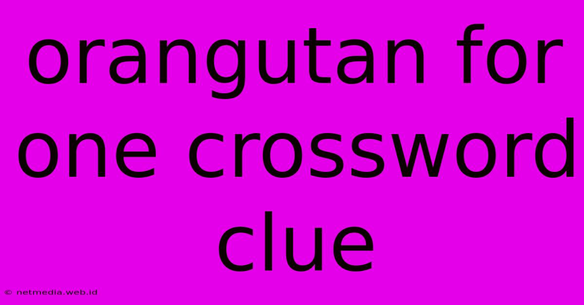 Orangutan For One Crossword Clue