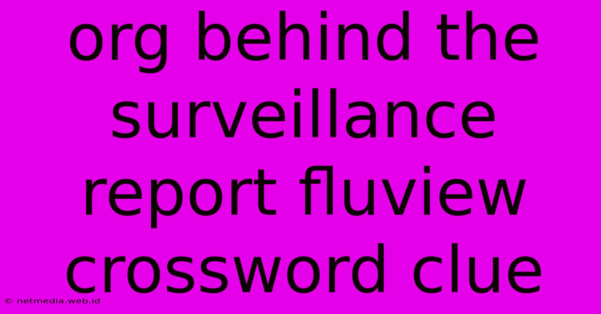 Org Behind The Surveillance Report Fluview Crossword Clue