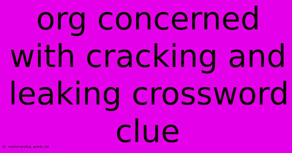 Org Concerned With Cracking And Leaking Crossword Clue