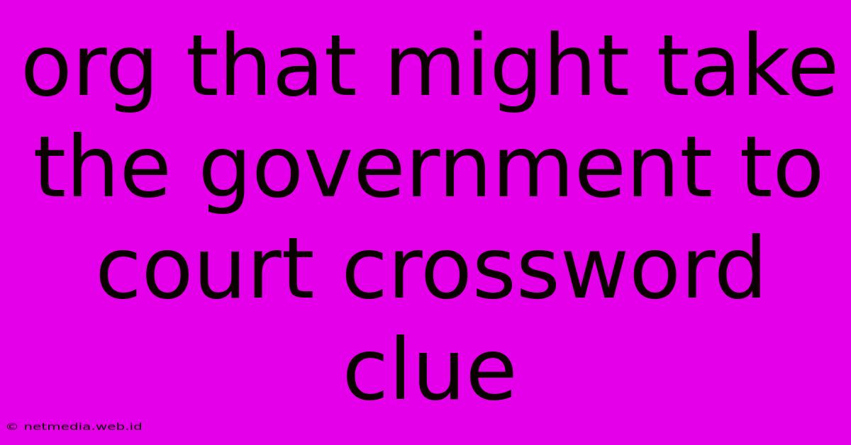 Org That Might Take The Government To Court Crossword Clue