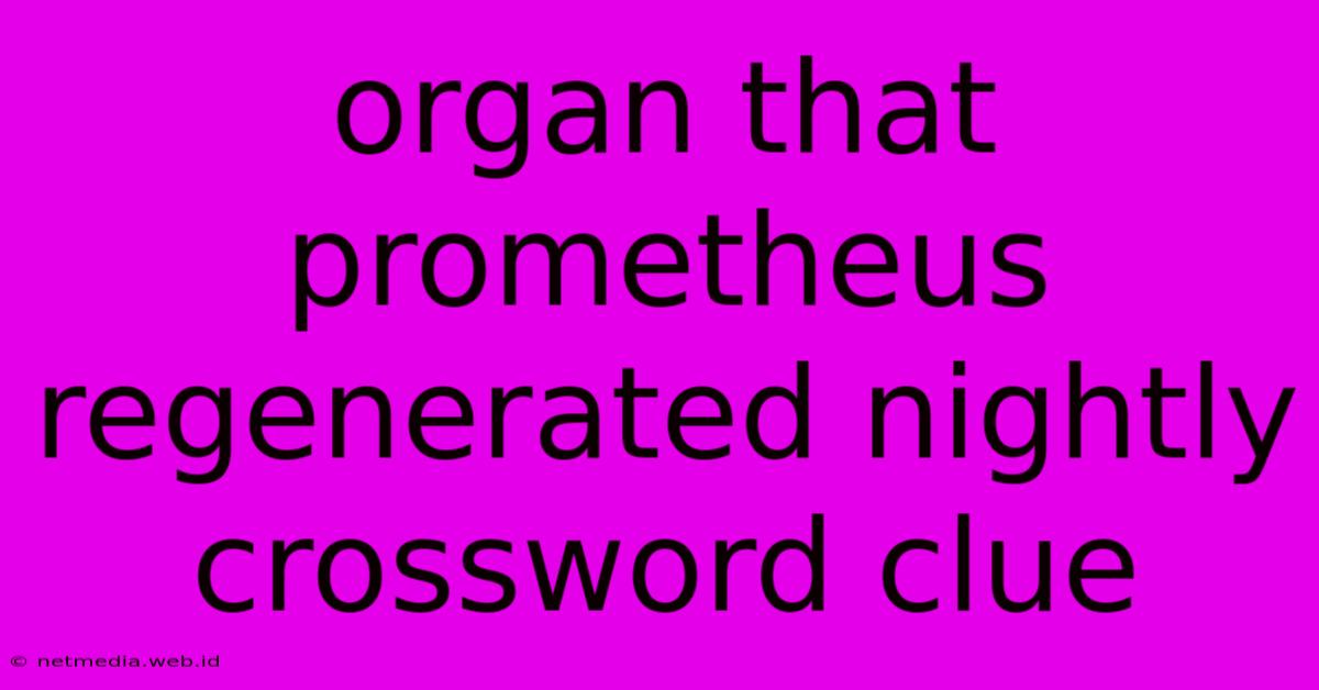 Organ That Prometheus Regenerated Nightly Crossword Clue