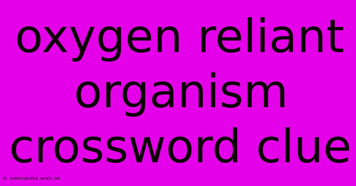 Oxygen Reliant Organism Crossword Clue