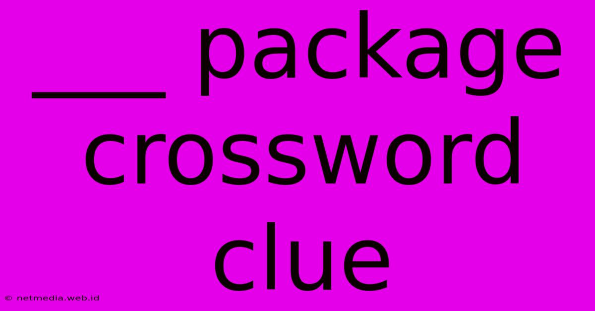 ___ Package Crossword Clue