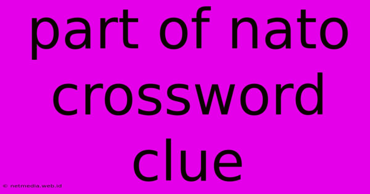 Part Of Nato Crossword Clue