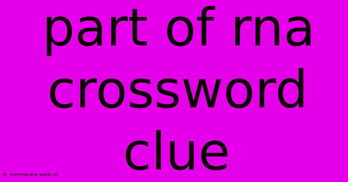 Part Of Rna Crossword Clue