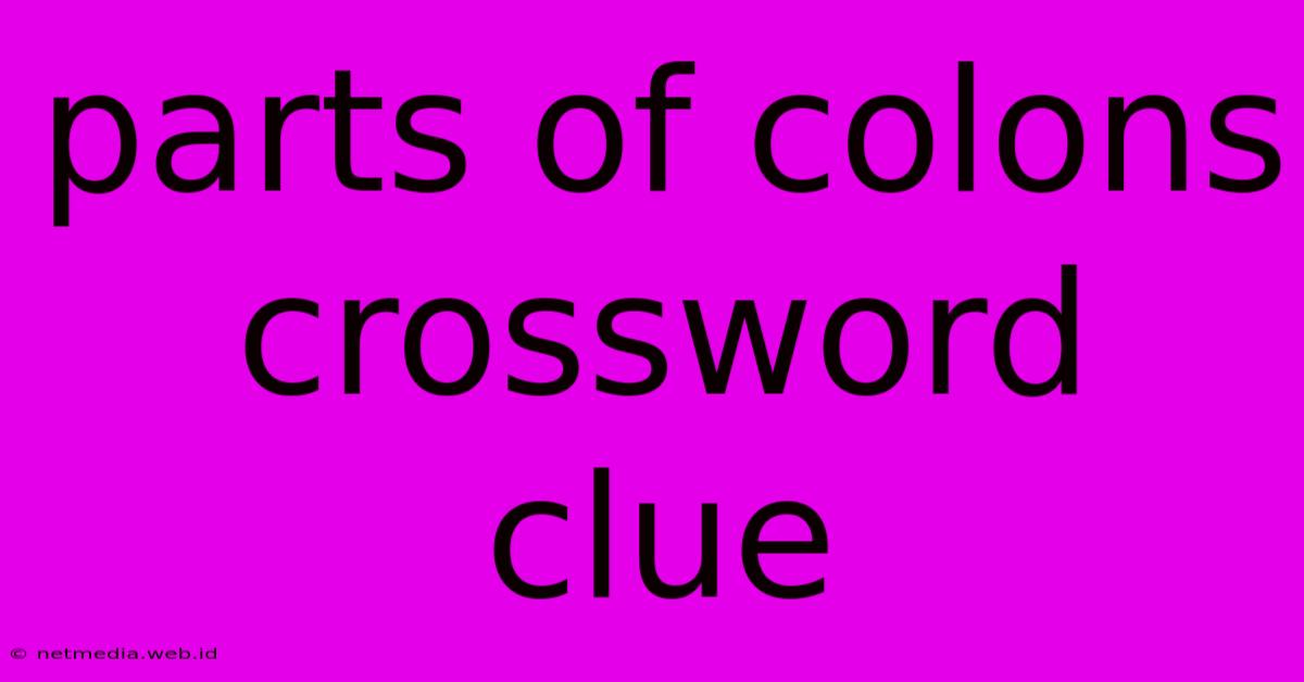 Parts Of Colons Crossword Clue