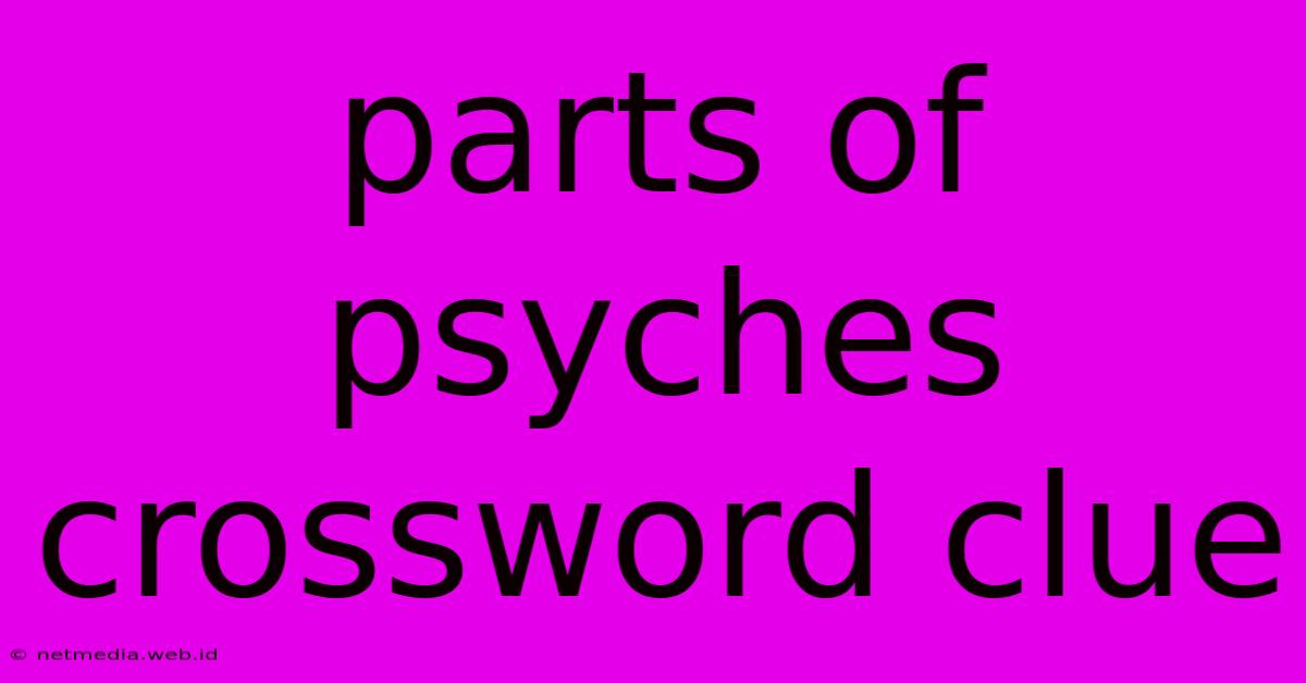 Parts Of Psyches Crossword Clue