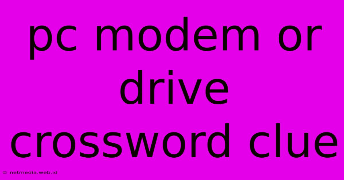 Pc Modem Or Drive Crossword Clue