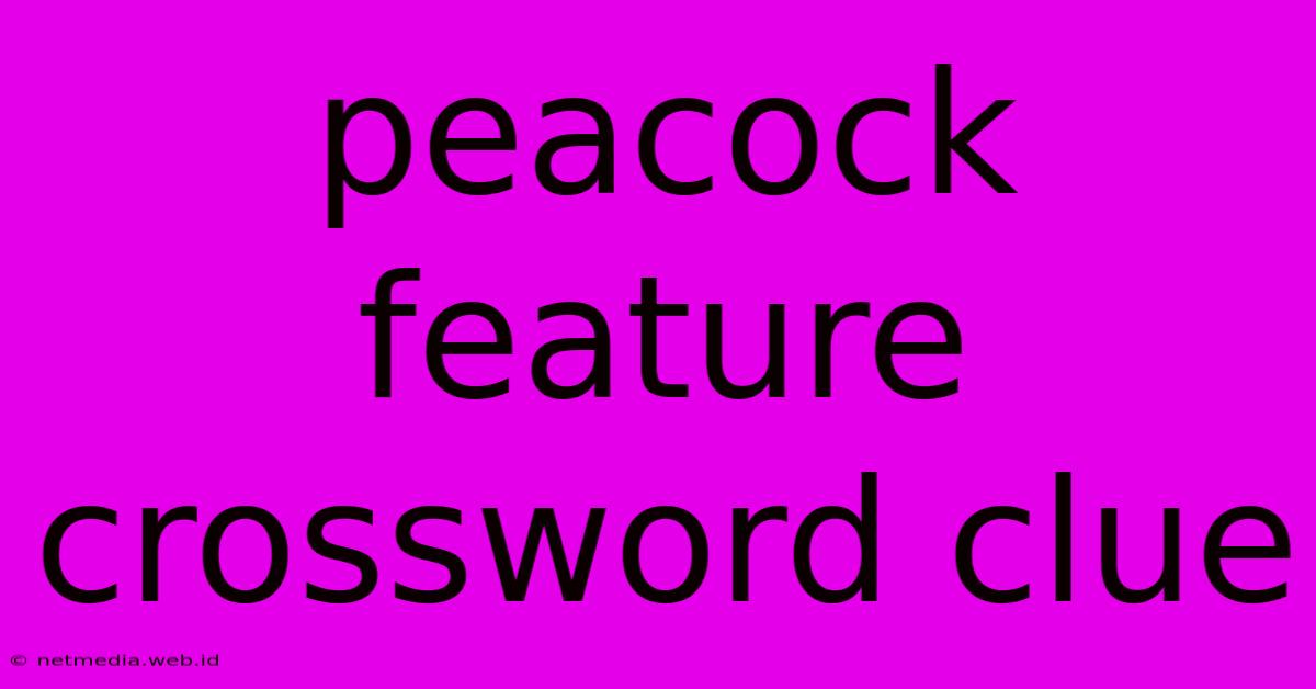 Peacock Feature Crossword Clue