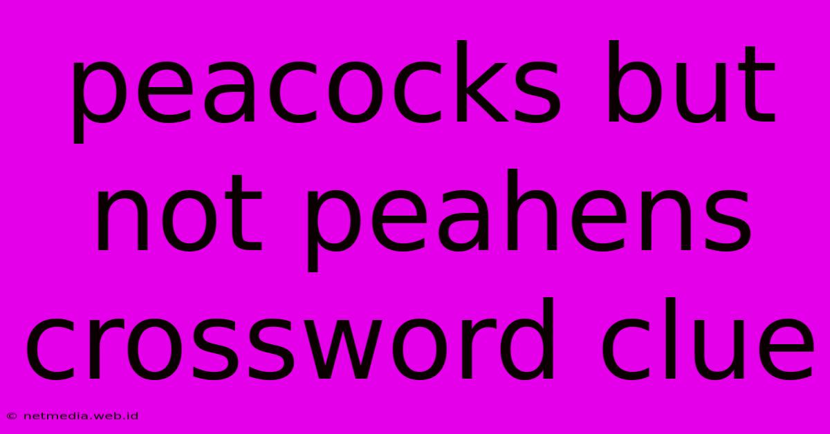 Peacocks But Not Peahens Crossword Clue