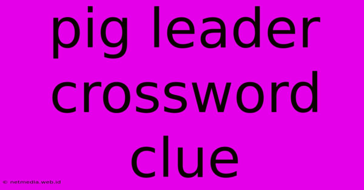 Pig Leader Crossword Clue