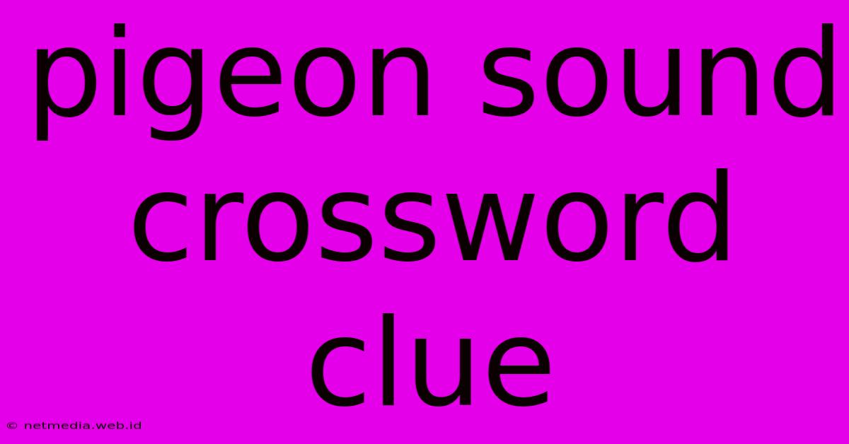 Pigeon Sound Crossword Clue