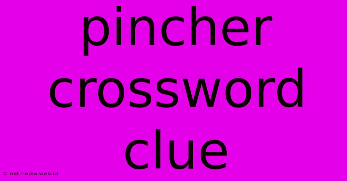 Pincher Crossword Clue