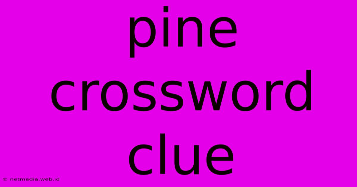 Pine Crossword Clue