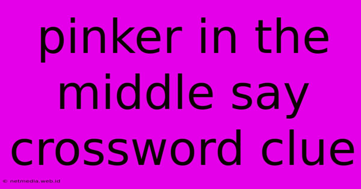 Pinker In The Middle Say Crossword Clue