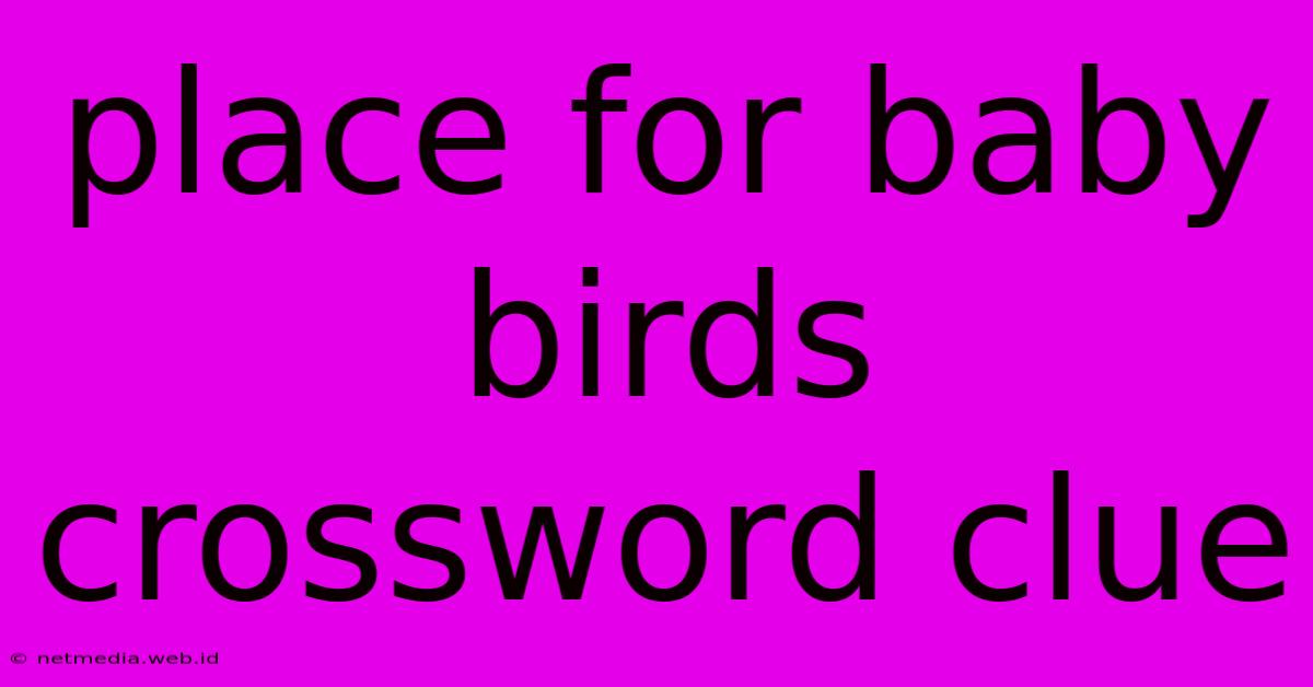 Place For Baby Birds Crossword Clue