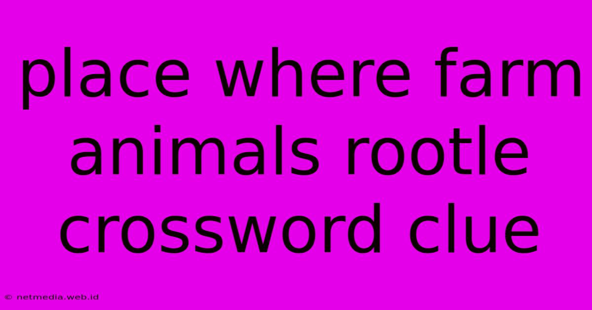 Place Where Farm Animals Rootle Crossword Clue