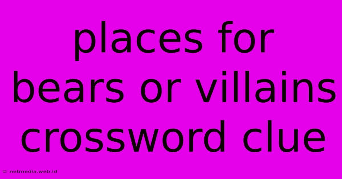 Places For Bears Or Villains Crossword Clue