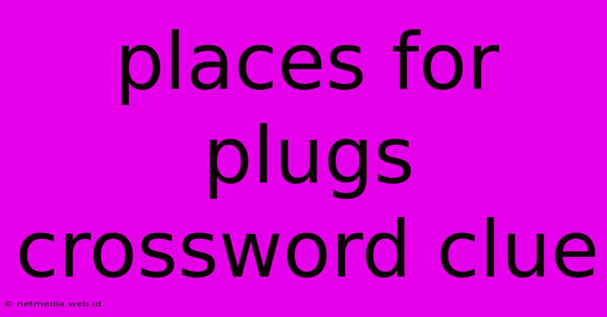 Places For Plugs Crossword Clue