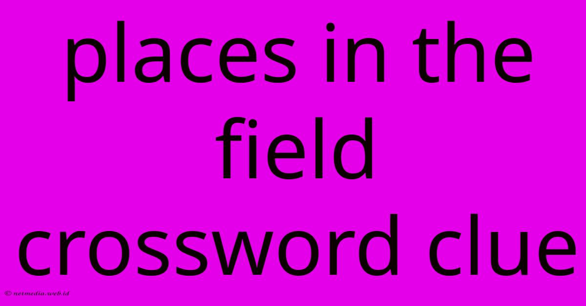 Places In The Field Crossword Clue