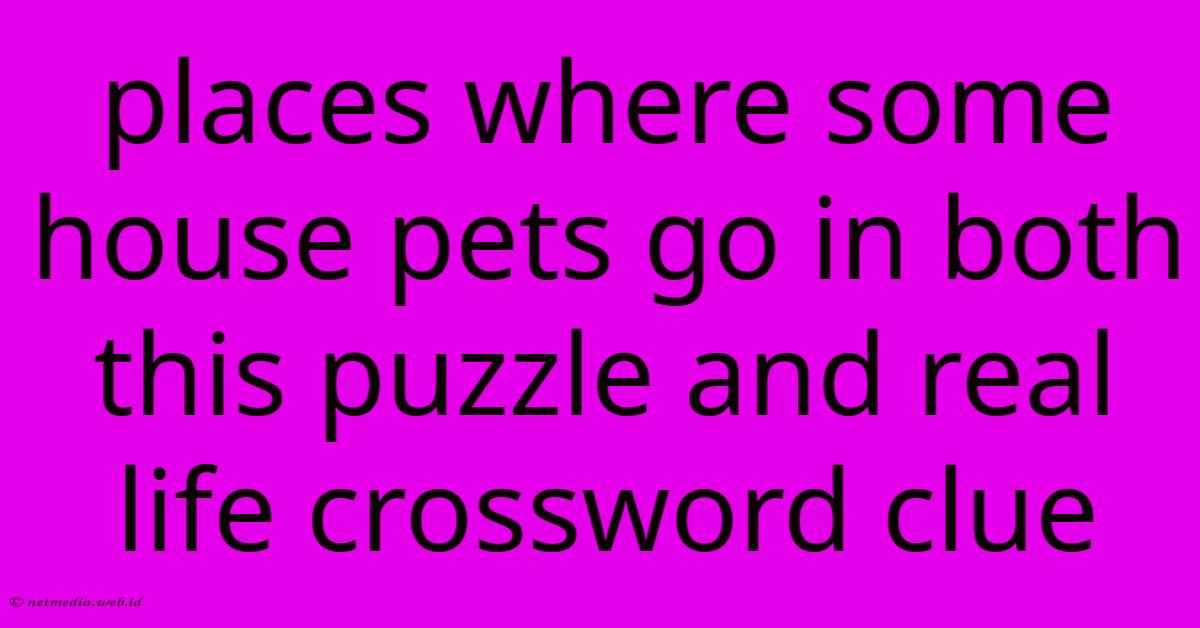 Places Where Some House Pets Go In Both This Puzzle And Real Life Crossword Clue Places Where Some House Pets Go In Both This Puzzle And Real Life Crossword Clue