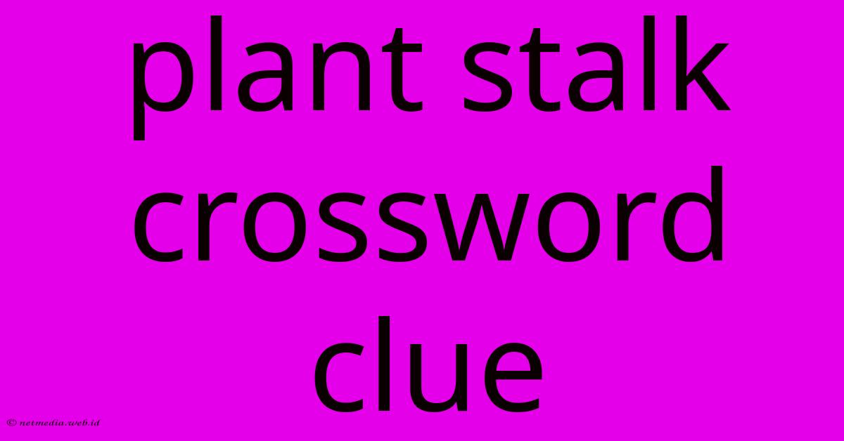 Plant Stalk Crossword Clue