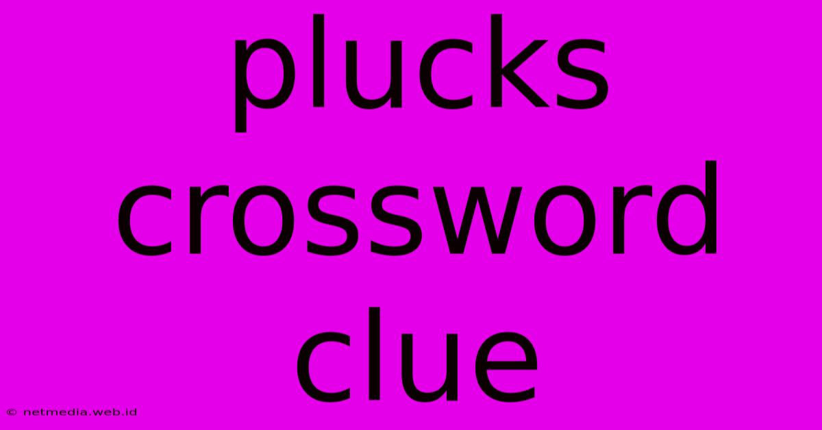 Plucks Crossword Clue