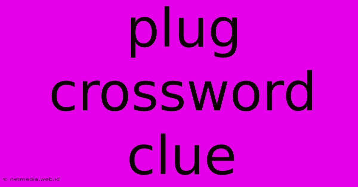 Plug Crossword Clue