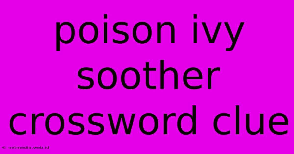 Poison Ivy Soother Crossword Clue