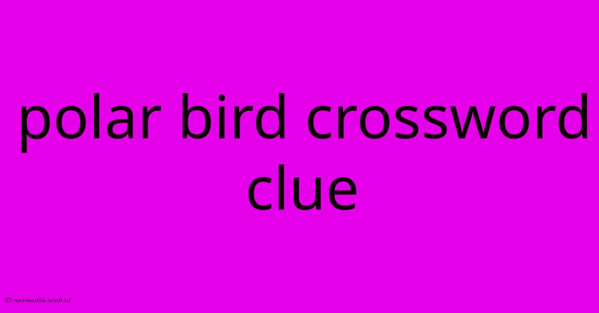 Polar Bird Crossword Clue