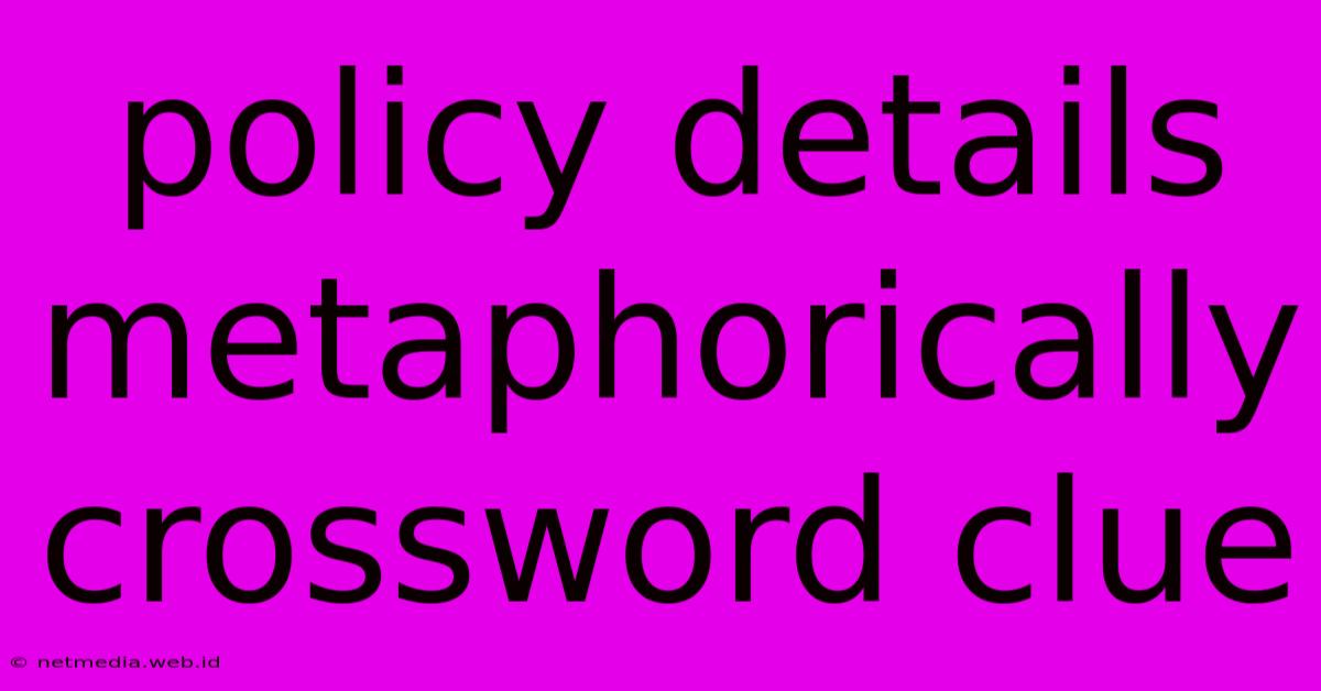 Policy Details Metaphorically Crossword Clue