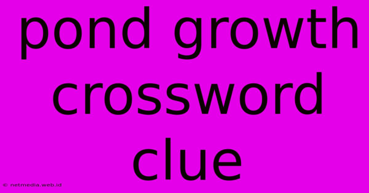 Pond Growth Crossword Clue