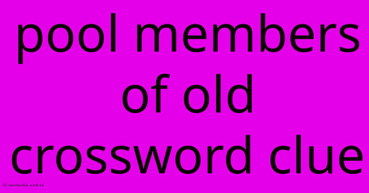 Pool Members Of Old Crossword Clue Pool Members Of Old Crossword Clue