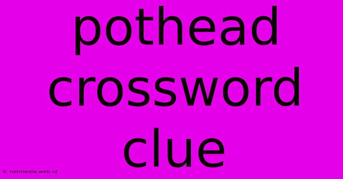 Pothead Crossword Clue