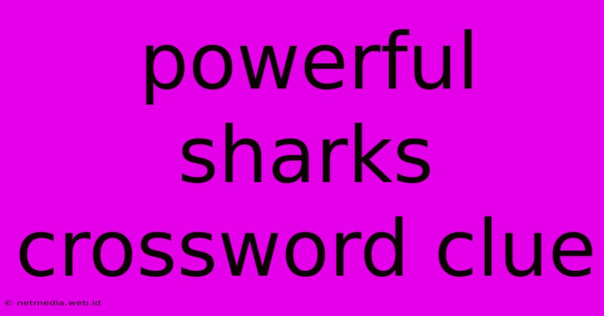 Powerful Sharks Crossword Clue