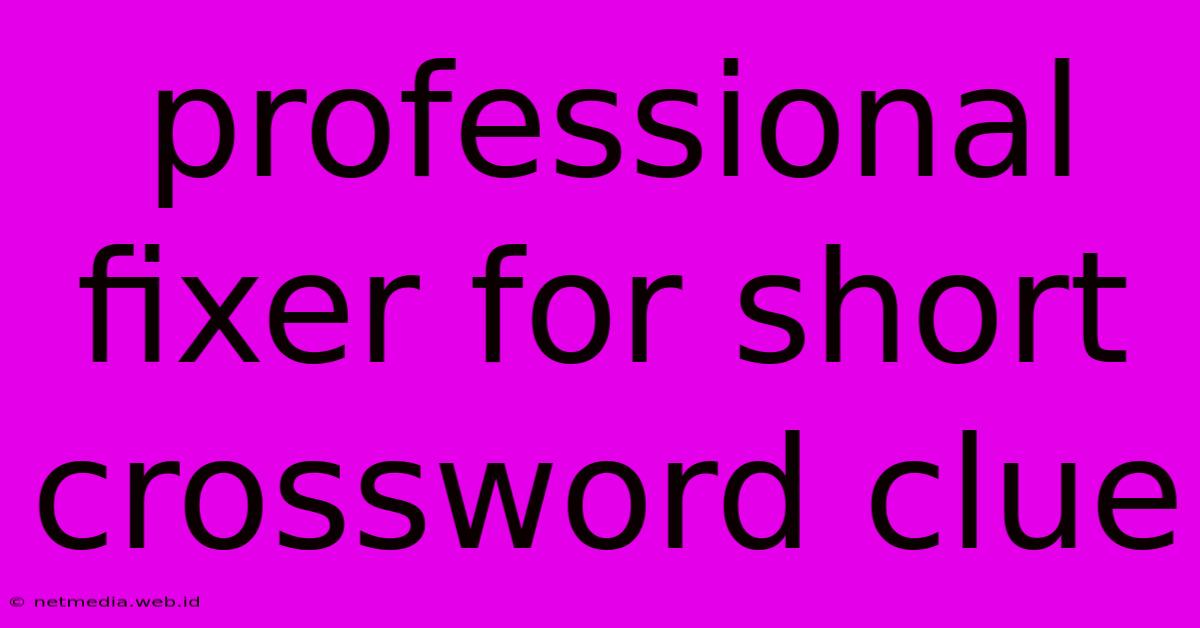 Professional Fixer For Short Crossword Clue