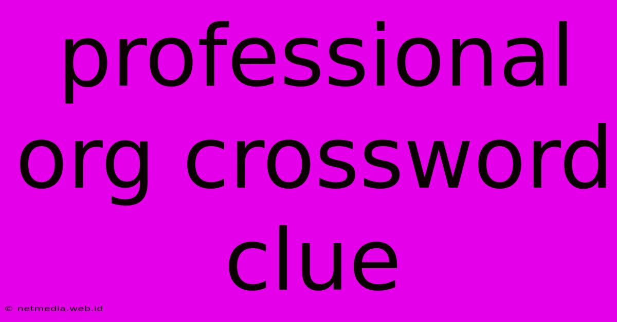 Professional Org Crossword Clue