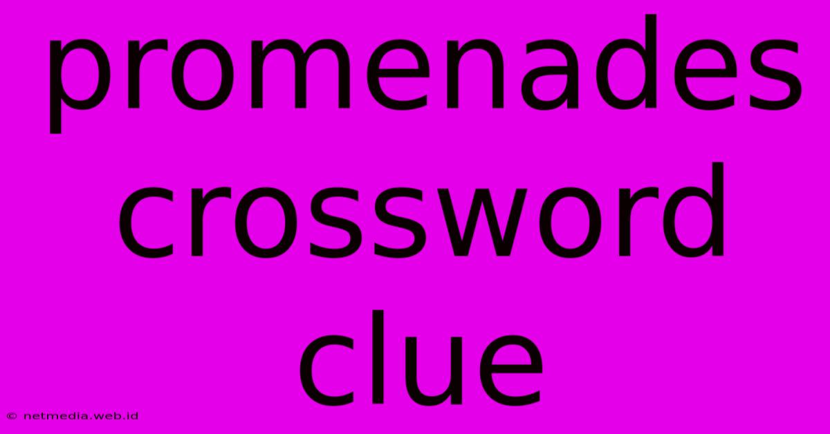 Promenades Crossword Clue