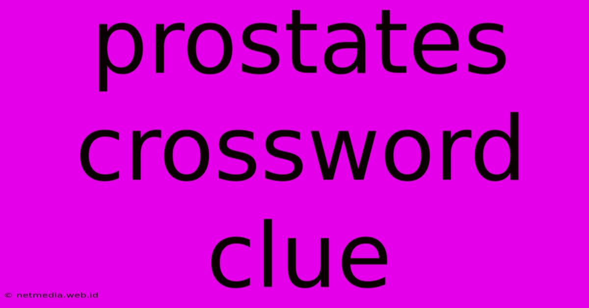 Prostates Crossword Clue