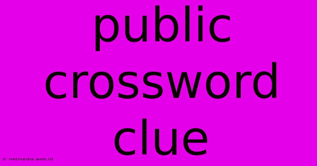 Public Crossword Clue