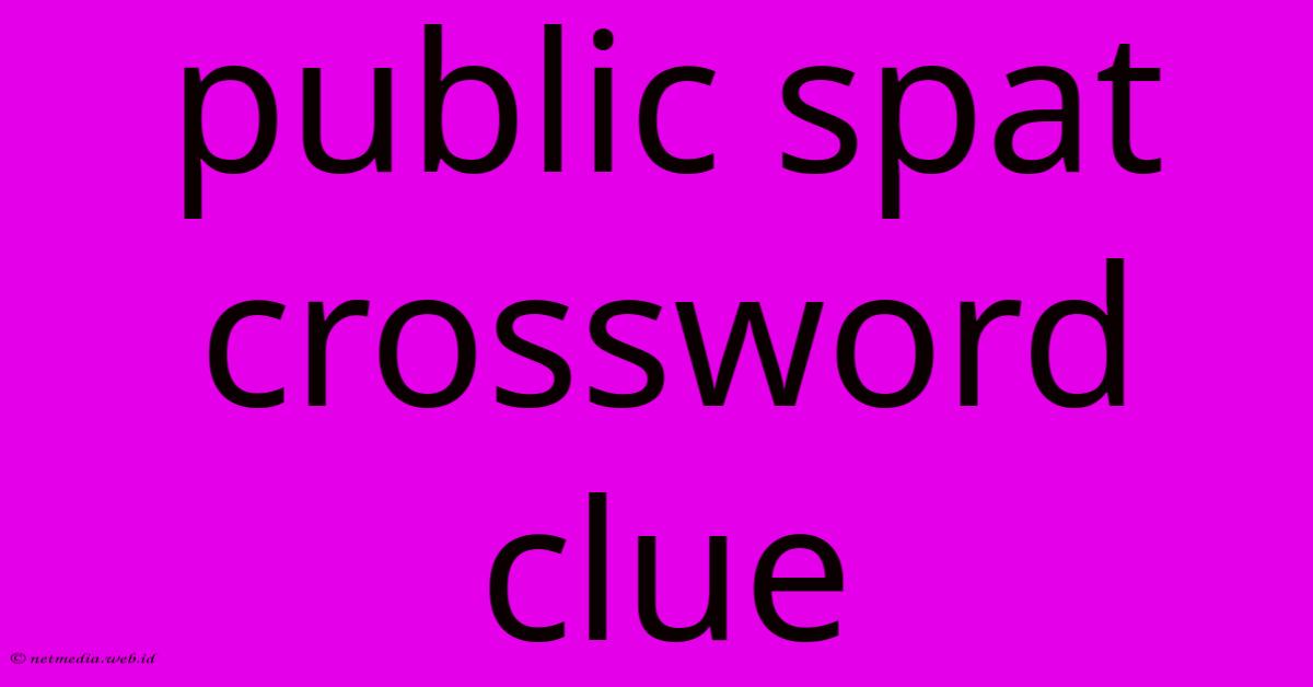 Public Spat Crossword Clue