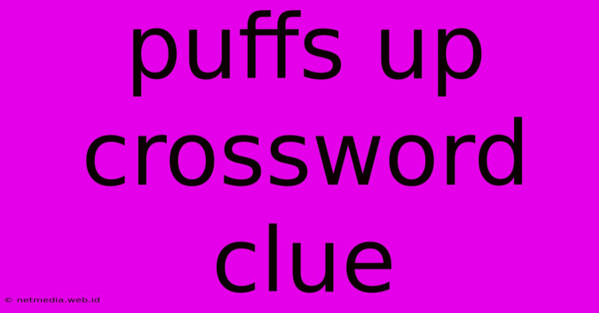 Puffs Up Crossword Clue