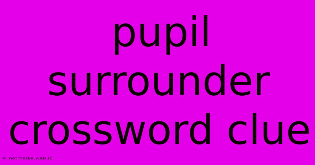 Pupil Surrounder Crossword Clue