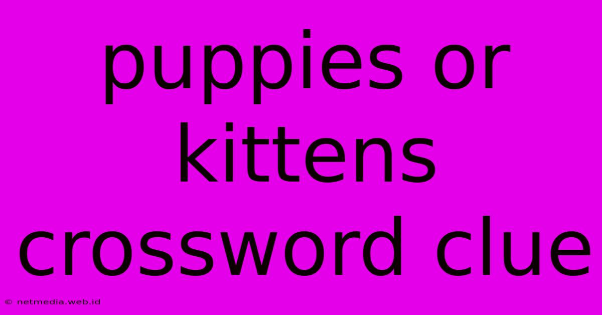 Puppies Or Kittens Crossword Clue