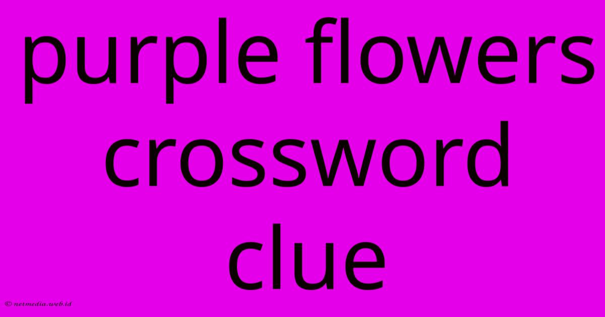 Purple Flowers Crossword Clue Purple Flowers Crossword Clue