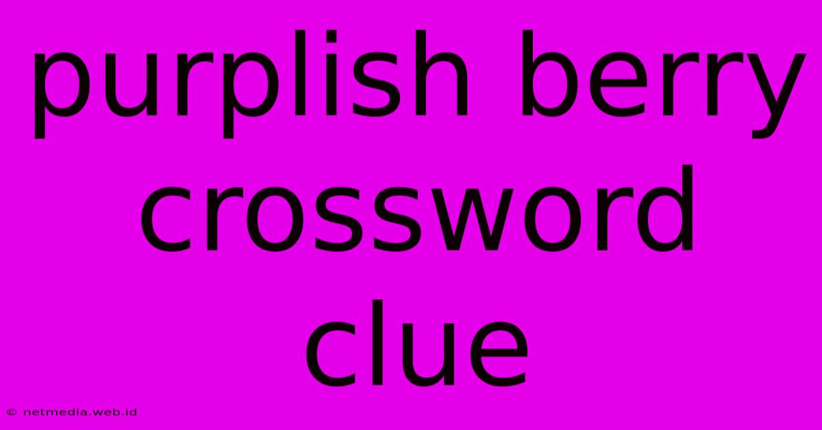 Purplish Berry Crossword Clue