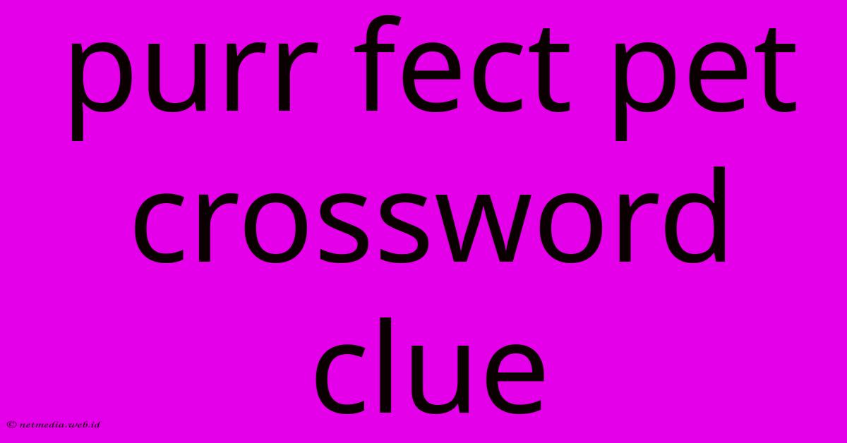 Purr Fect Pet Crossword Clue Purr Fect Pet Crossword Clue