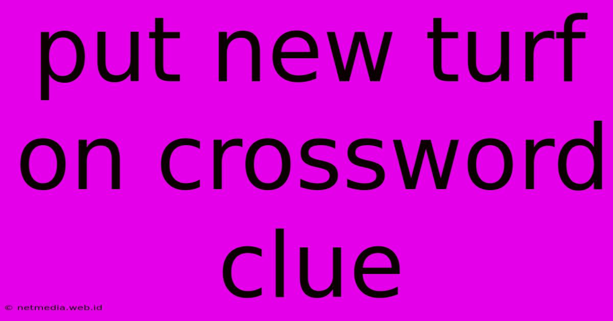 Put New Turf On Crossword Clue