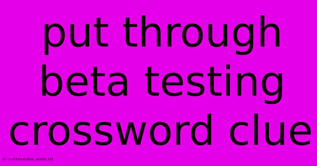 Put Through Beta Testing Crossword Clue