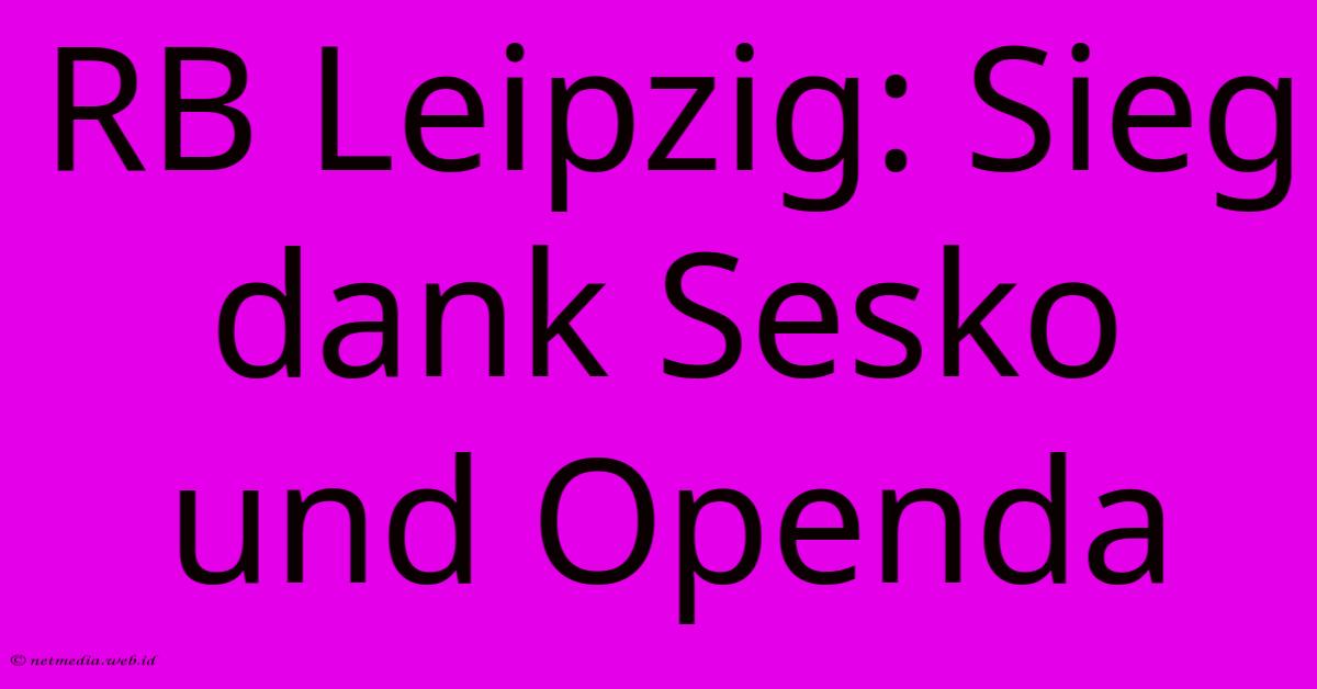 RB Leipzig: Sieg Dank Sesko Und Openda RB Leipzig: Sieg Dank Sesko Und Openda
